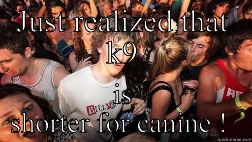 JUST REALIZED THAT K9 IS SHORTER FOR CANINE !  Sudden Clarity Clarence