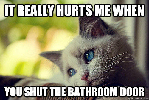 It really hurts me when You shut the bathroom door - It really hurts me when You shut the bathroom door  First World Problems Cat