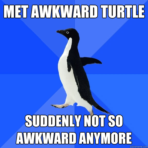 met awkward turtle suddenly not so awkward anymore  Socially Awkward Penguin