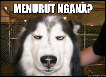 Menurut ngana?   Skeptical Dog