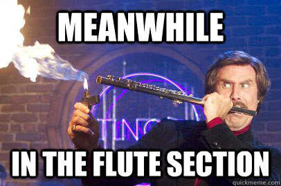 Meanwhile in the flute section - Meanwhile in the flute section  Marching band meme