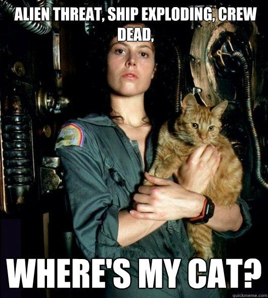 alien threat, ship exploding, crew dead, where's my cat? - alien threat, ship exploding, crew dead, where's my cat?  Redditor Ripley