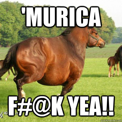 'murica f#@k yea!! - 'murica f#@k yea!!  Look at my horse