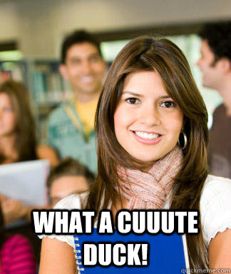  What a cuuute duck!  Sheltered College Freshman