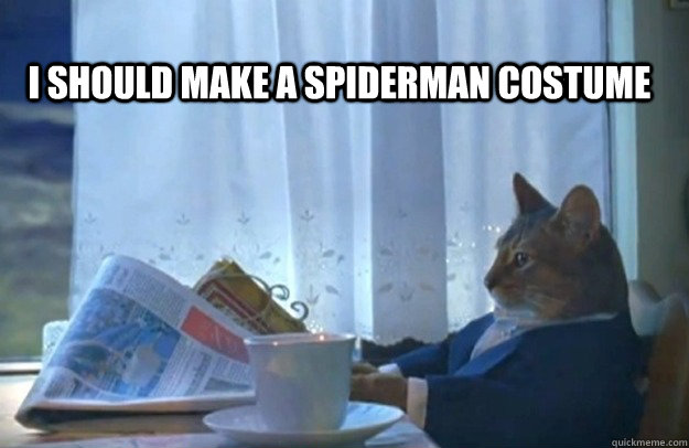 I should make a spiderman costume  Sophisticated Cat