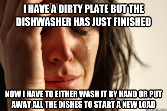i have a dirty plate but the dishwasher has just finished now i have to either wash it by hand or put away all the dishes to start a new load  First World Problems