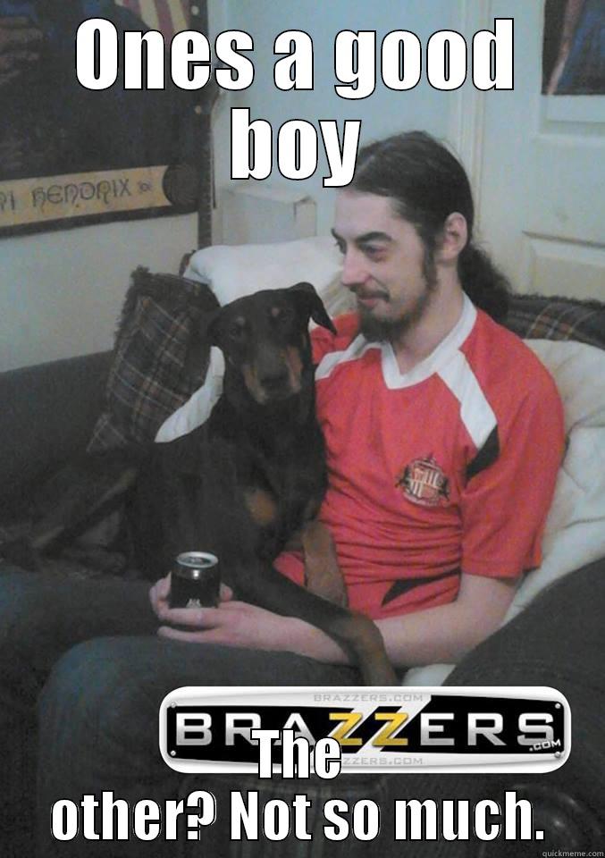 ONES A GOOD BOY THE OTHER? NOT SO MUCH. Misc