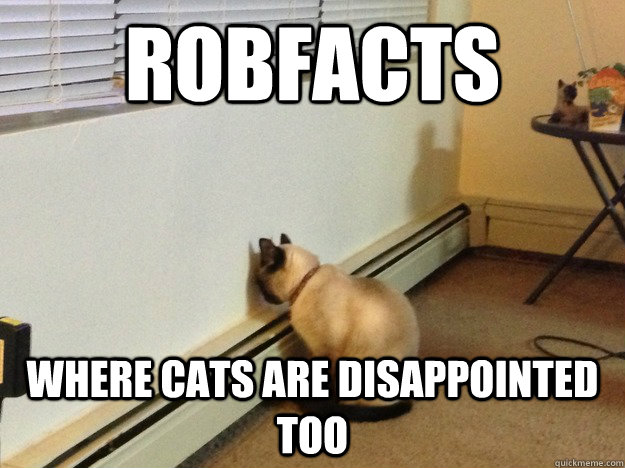 Robfacts where cats are disappointed too  Regretful Cat