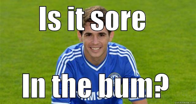 IS IT SORE  IN THE BUM? Misc