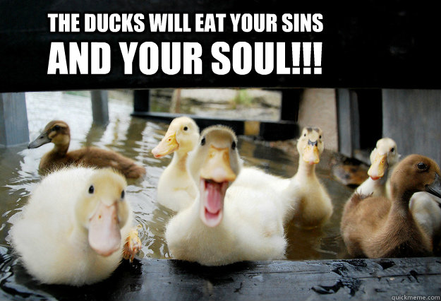 The ducks will eat your sins AND YOUR SOUL!!! - The ducks will eat your sins AND YOUR SOUL!!!  Misc