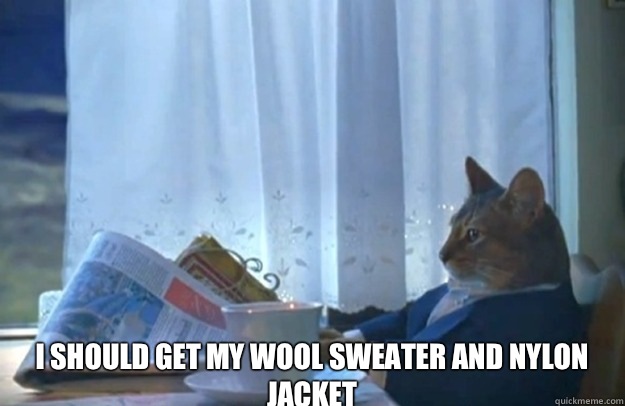  I should get my wool sweater and nylon jacket  Sophisticated Cat