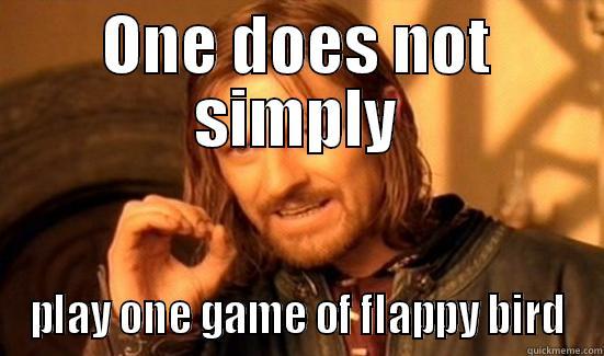 ONE DOES NOT SIMPLY PLAY ONE GAME OF FLAPPY BIRD Boromir