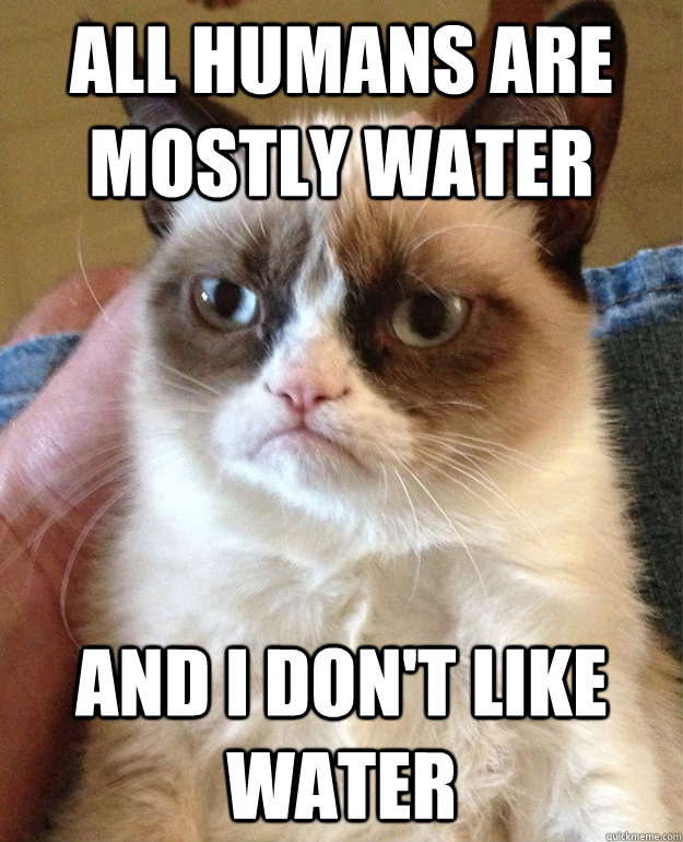 all humans are mostly water and i don't like water  grumpycat