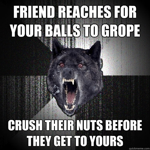 friend reaches for your balls to grope crush their nuts before they get to yours - friend reaches for your balls to grope crush their nuts before they get to yours  Insanity Wolf