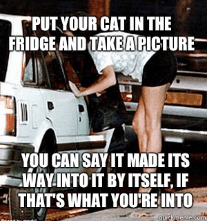 Put your cat in the fridge and take a picture You can say it made its way into it by itself, if that's what you're into  Karma Whore