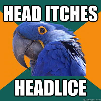Head itches headlice  Paranoid Parrot