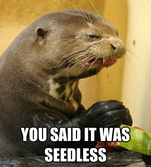 you said it was seedless  - you said it was seedless   angry otter