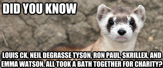 Did you know Louis CK, Neil deGrasse Tyson, Ron Paul, Skrillex, and Emma Watson, all took a bath together for charity?  Fun-Fact-Ferret