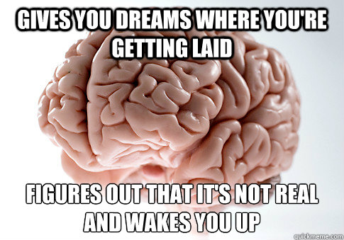 Gives you dreams where you're getting laid Figures out that it's not real and wakes you up
  Scumbag Brain