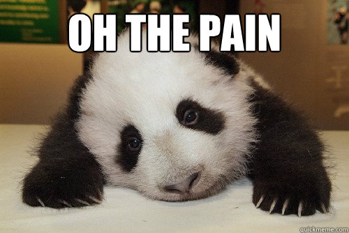 Oh the pain
  - Oh the pain
   pain panda