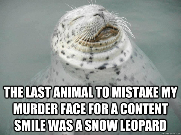 The last animal to mistake my murder face for a content smile was a snow leopard  Zen Seal