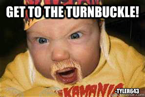 GET TO THE TURNBUCKLE! -Tyler643 - GET TO THE TURNBUCKLE! -Tyler643  Hulk Hogan Babeh