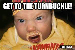 GET TO THE TURNBUCKLE! -Tyler643  Hulk Hogan Babeh