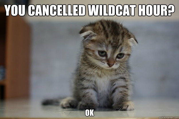 you cancelled wildcat hour? ok - you cancelled wildcat hour? ok  Sad Kitten