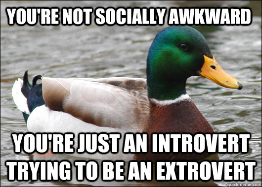 You're not socially awkward You're just an introvert trying to be an extrovert  Actual Advice Mallard