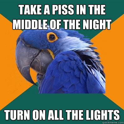 Take a piss in the middle of the night Turn on all the lights  Paranoid Parrot