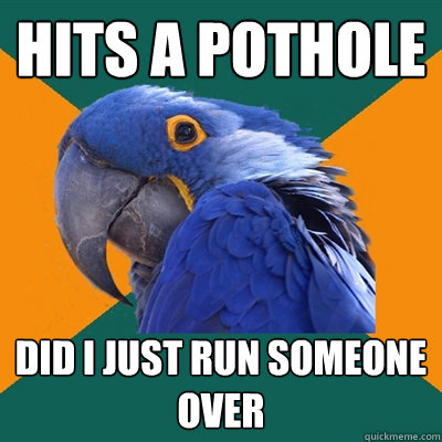 Hits a pothole did I just run someone over  Paranoid Parrot