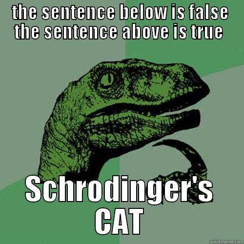 l;asdkjfo;apdflkja paradox - THE SENTENCE BELOW IS FALSE THE SENTENCE ABOVE IS TRUE  SCHRODINGER'S CAT Philosoraptor