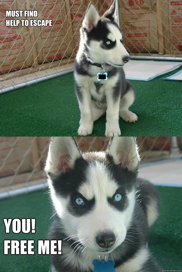 Must find
help to escape YOU!
FREE ME!  Insanity puppy