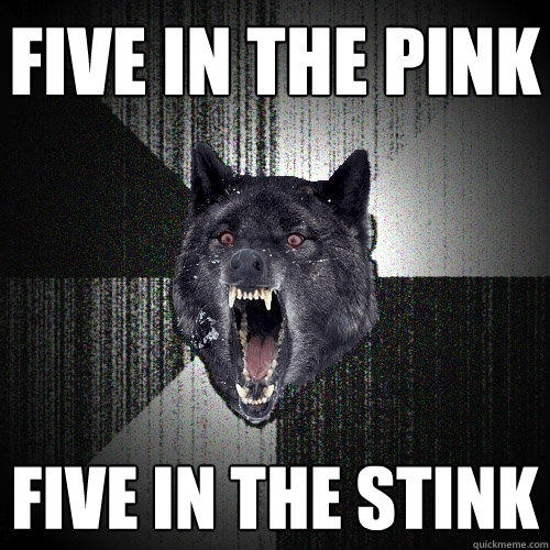 FIVE IN THE PINK FIVE IN THE STINK - FIVE IN THE PINK FIVE IN THE STINK  Insanity Wolf