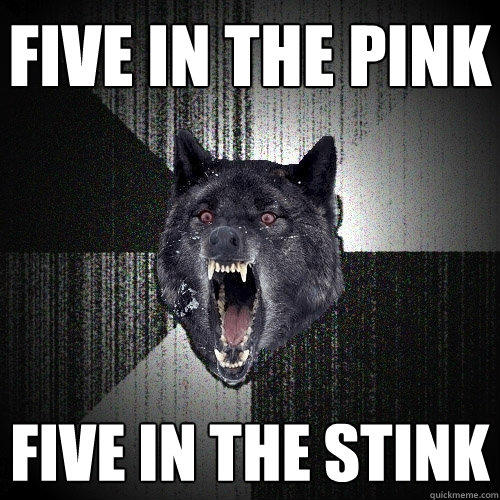 FIVE IN THE PINK FIVE IN THE STINK  