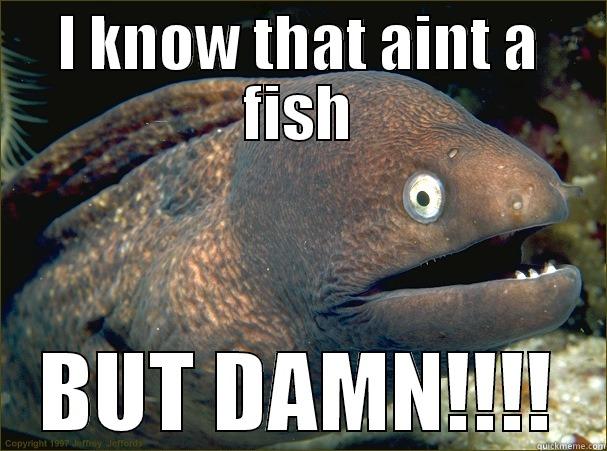 I KNOW THAT AINT A FISH BUT DAMN!!!! Bad Joke Eel