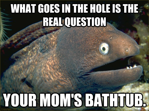 what goes in the hole is the real question Your mom's bathtub. - what goes in the hole is the real question Your mom's bathtub.  Bad Joke Eel
