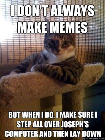 I don't always make memes but when I do, I make sure I step all over joseph's computer and then lay down  The Most Interesting Cat in the World
