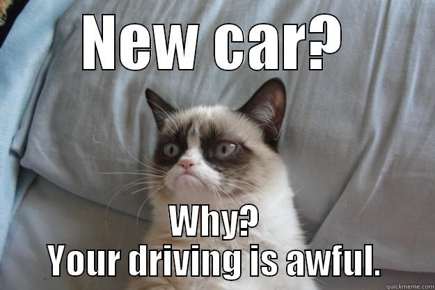 NEW CAR? WHY? YOUR DRIVING IS AWFUL. Grumpy Cat