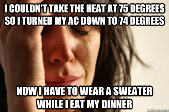 i couldn't take the heat at 75 degrees so i turned my AC down to 74 degrees now i have to wear a sweater while i eat my dinner - i couldn't take the heat at 75 degrees so i turned my AC down to 74 degrees now i have to wear a sweater while i eat my dinner  First World Problems