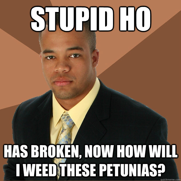 stupid ho has broken, now how will i weed these petunias?  Successful Black Man
