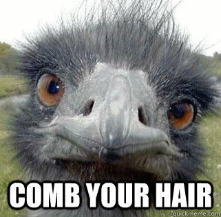   Comb Your hair -   Comb Your hair  Seeing Ostrich