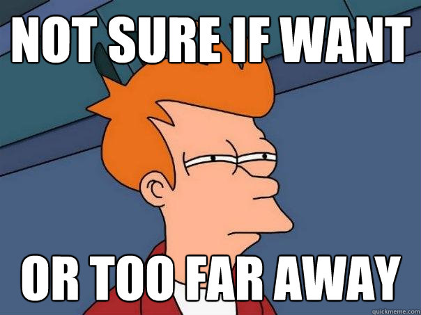 NOT SURE IF WANT OR TOO FAR AWAY  Futurama Fry