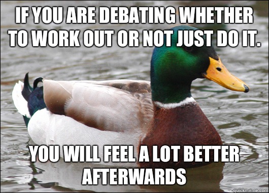 If you are debating whether to work out or not just do it. You will feel a lot better afterwards  Actual Advice Mallard