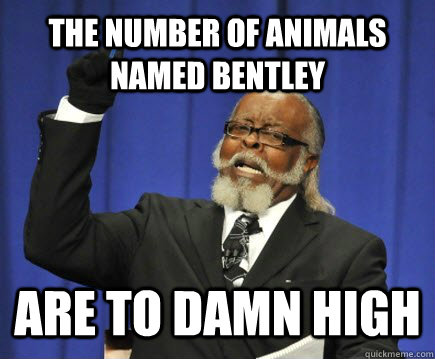 The number of Animals named Bentley are to damn high  Too Damn High