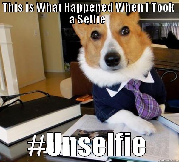 THIS IS WHAT HAPPENED WHEN I TOOK A SELFIE  #UNSELFIE Lawyer Dog