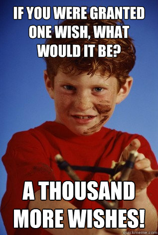 If you were granted one wish, what would it be? A thousand more wishes!  Smart-ass Kid