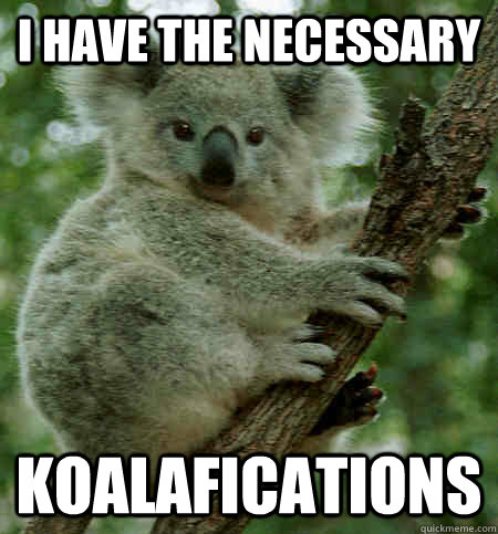 Image result for koalafications