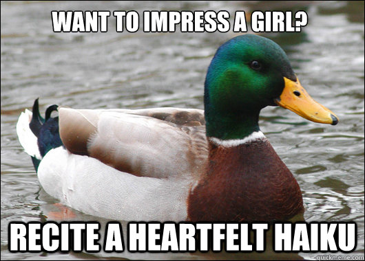want to impress a girl? recite a heartfelt haiku  Actual Advice Mallard