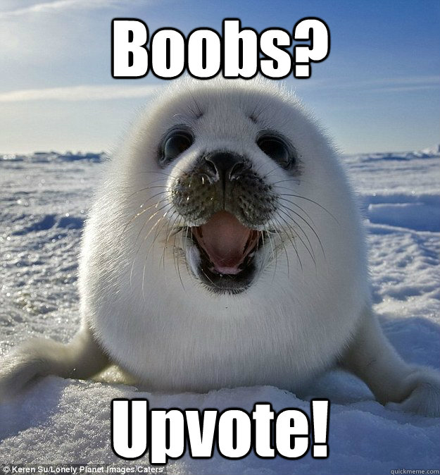 Boobs? Upvote!  Easily Pleased Seal